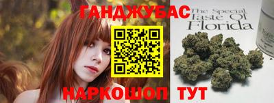 гидра Ставрополь