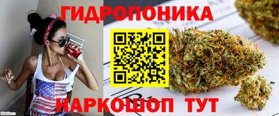кокс Сланцы